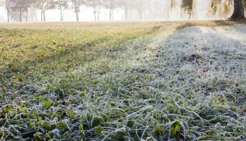 В Новгородской области предупредили о заморозках