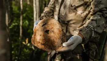 Поисковые работы перед строительством ВСМ в Новгородском округе помогли найти неизвестные воинские захоронения