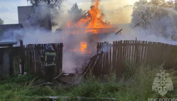 Новгородским пожарным пришлось сражаться за хозпостройки и дом